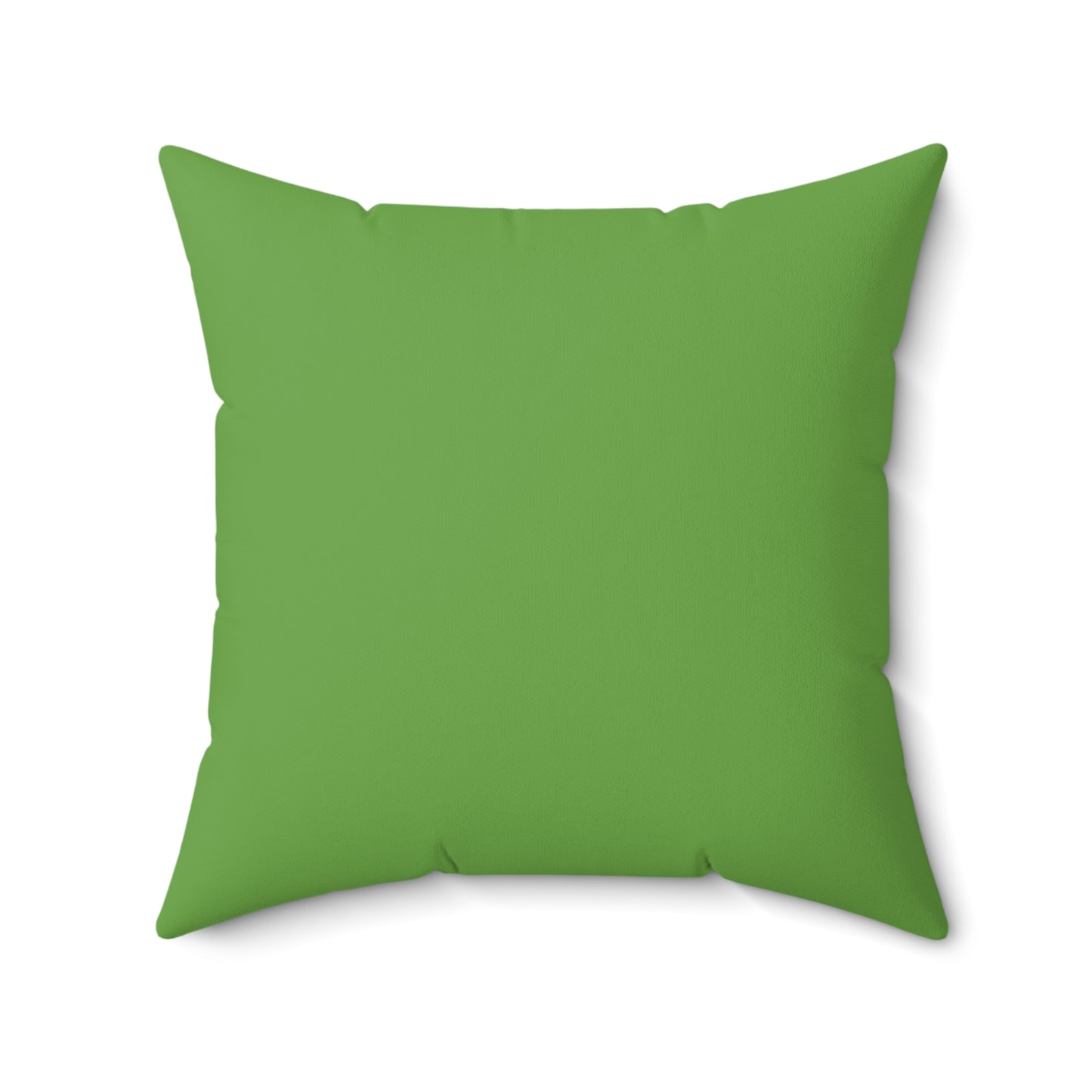 Square Pillow - capybara Adam and Eve